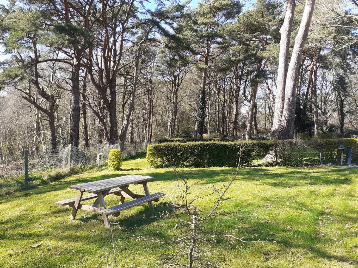 Camping Les Falaises De Toussaint المظهر الخارجي الصورة