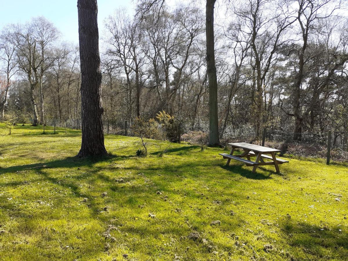 Camping Les Falaises De Toussaint المظهر الخارجي الصورة