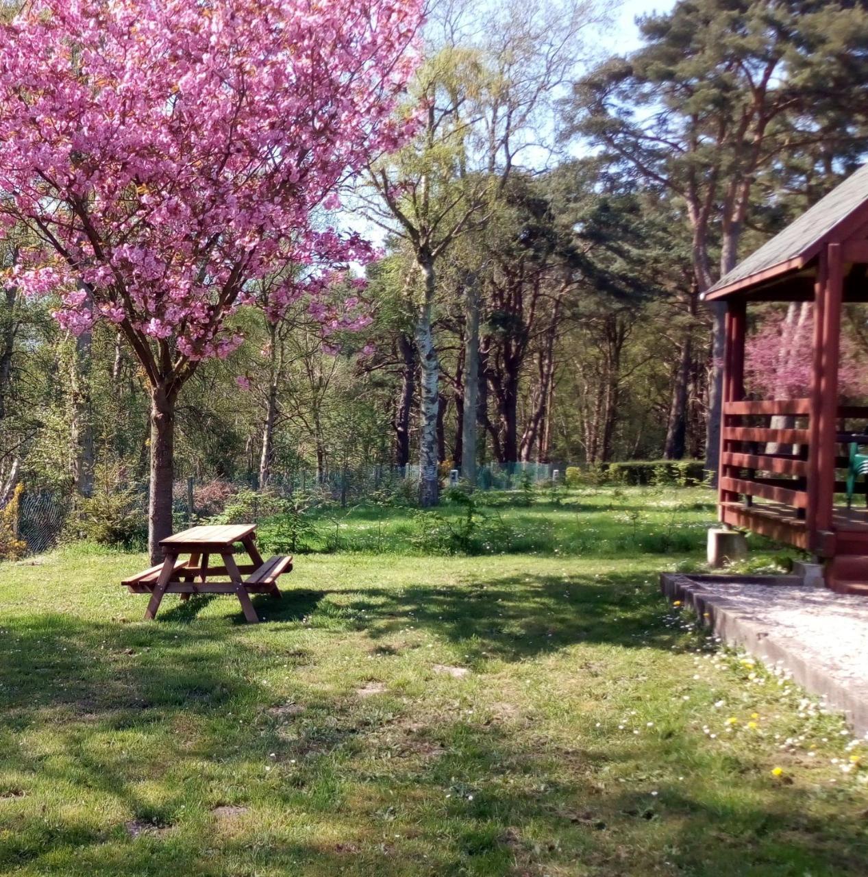 Camping Les Falaises De Toussaint المظهر الخارجي الصورة